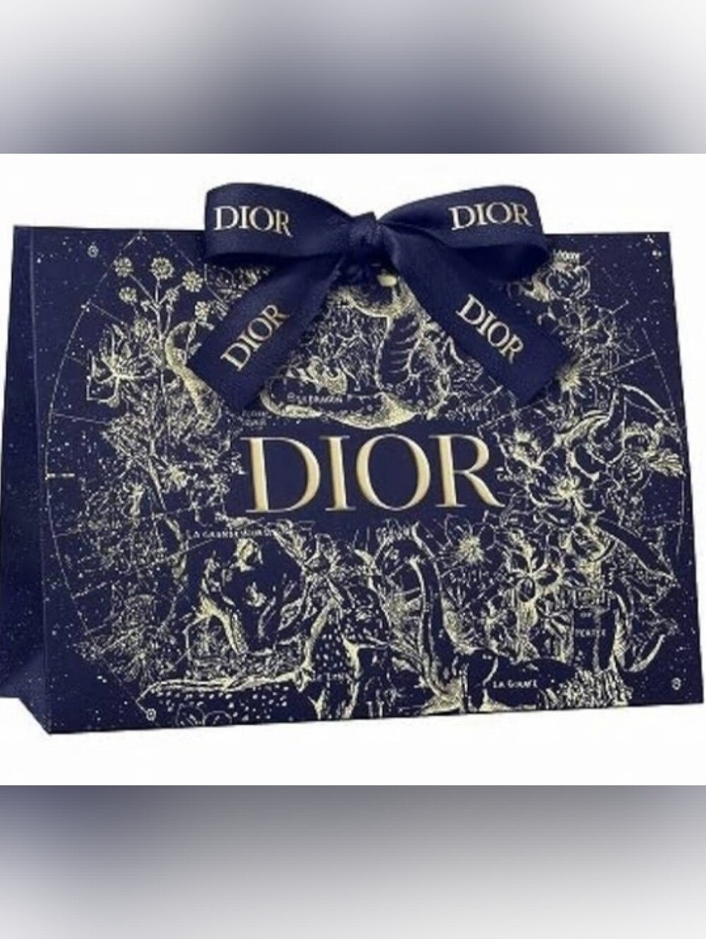 DIOR Noel Gift Bag with Branded Ribbon